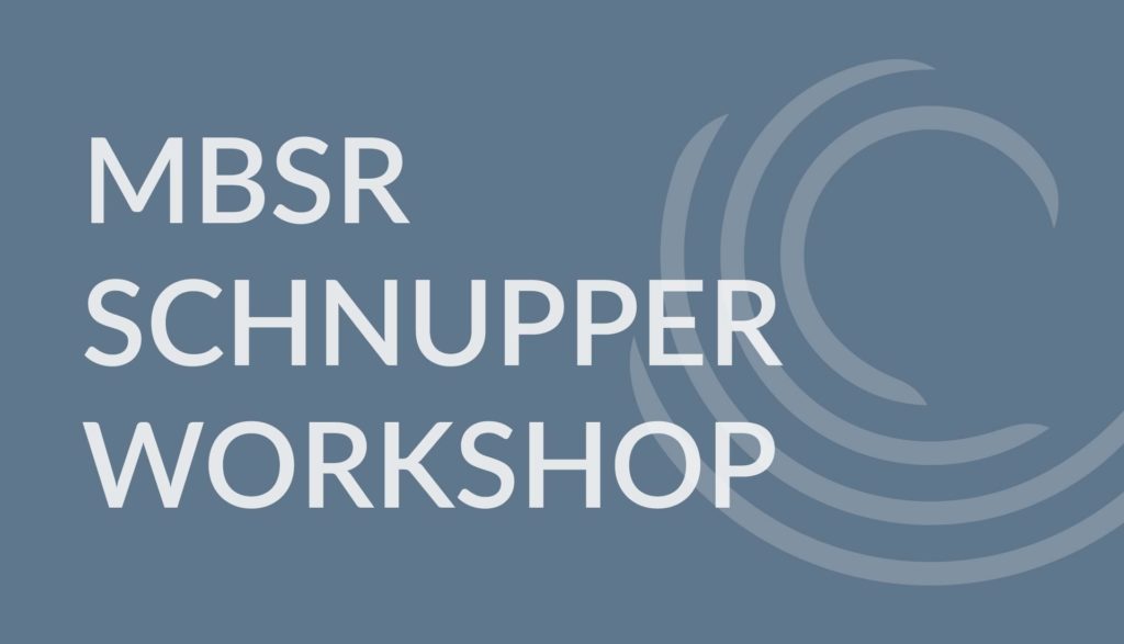MBSR Schnupper-Workshop mit Julia Seegebarteh